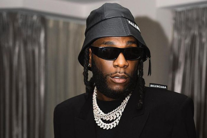 Diamond in trouble with Nigerians for throwing shading Burna Boy and Wizkid [Screenshot]