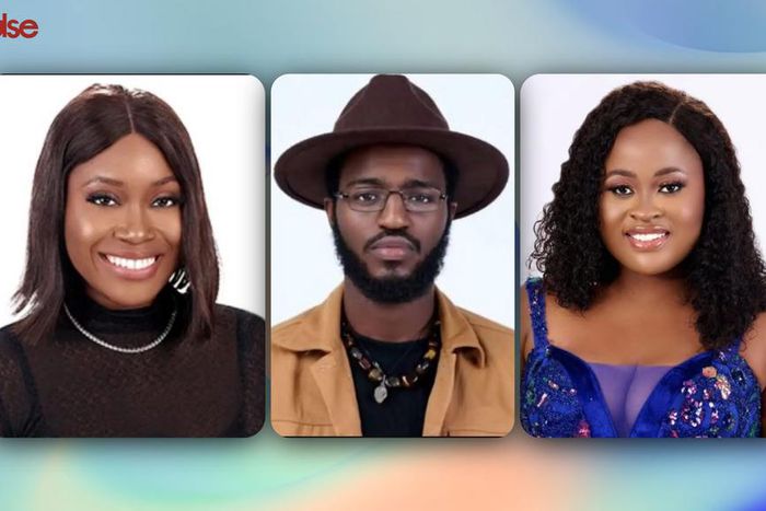 BBNaija S7: Daniella, Khalid and Amaka