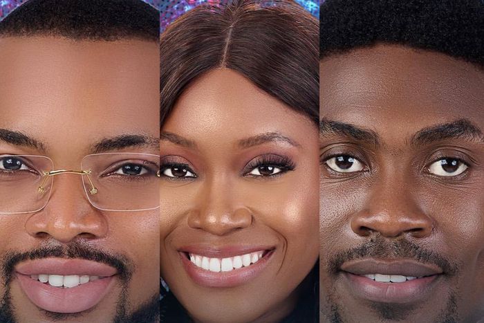 Seven housemates have been nominated for eviction in week four [Instagram/Bigbrothernaija]