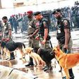 How Police spent N600m on imported security dogs.