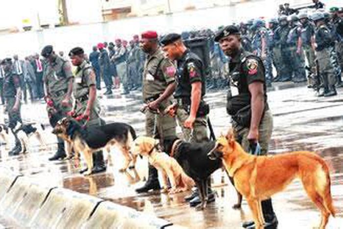 How Police spent N600m on imported security dogs.