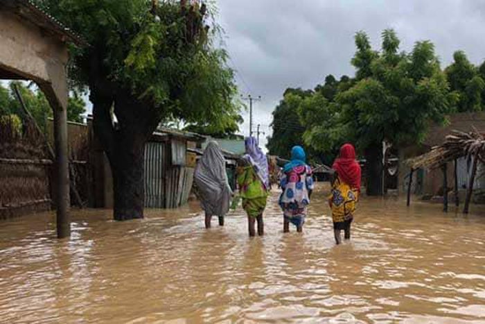 Jigawa flooding.
