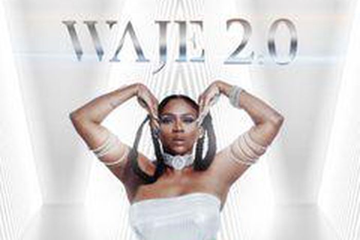 Waje - Waje 20 Album Art