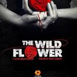 The Wildflower movie [Instagram]