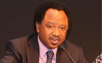 Senator Shehu Sani
