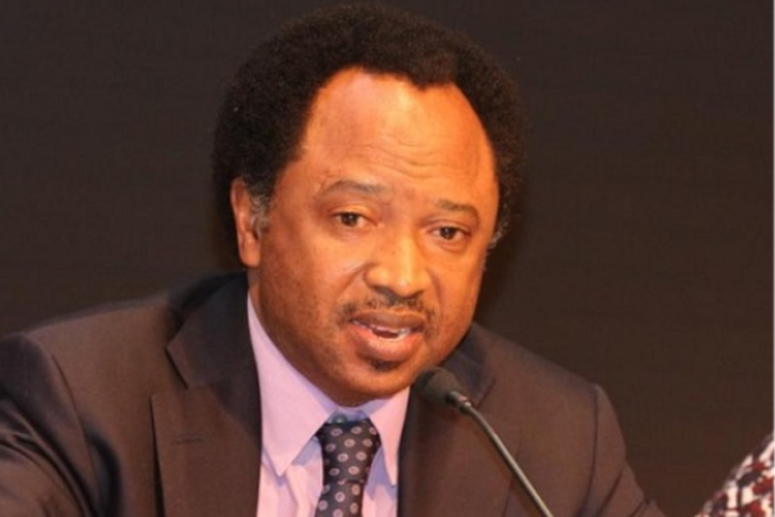 Shehu Sani yace gwamnan guba ne mai hadari