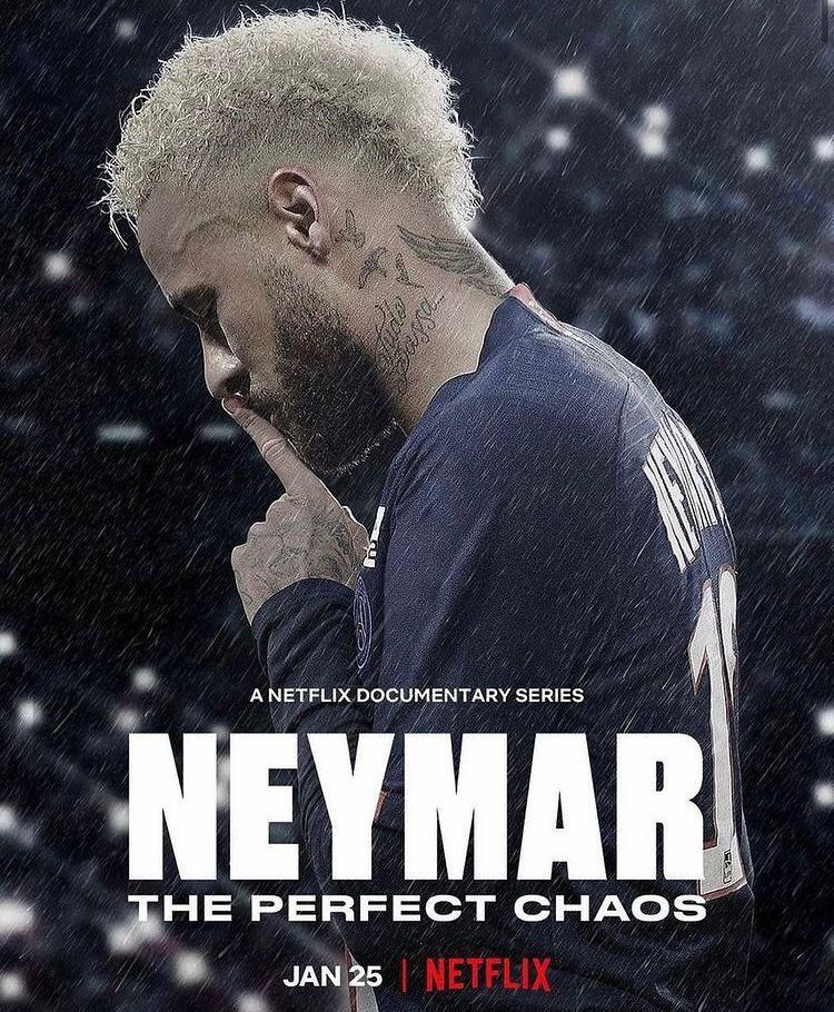 The Perfect Chaos series cover