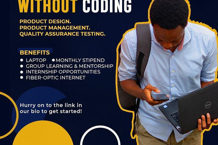 Fellowship at the Bulb - Call for Applications