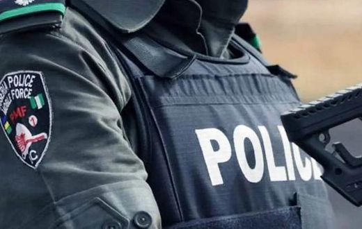 Nigerian-police (VanguardNG)