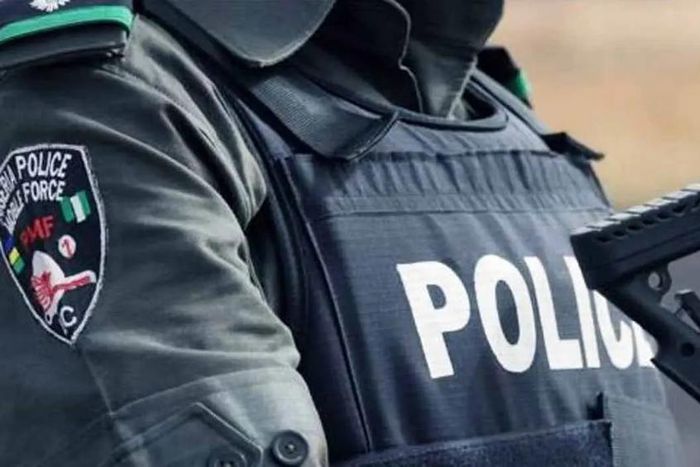 Nigerian-police (VanguardNG)