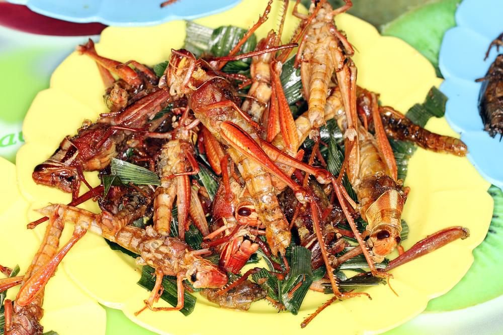 Fried-Grasshoppers