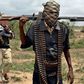 Suspected Boko Haram gunmen on horseback kill at least 24 in northern Nigeria