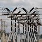 Electricity Distribution power plant (NAN)