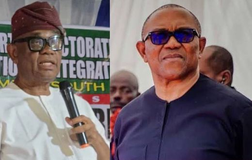 With Obi's support, my victory is guaranteed - Anambra South LP candidate