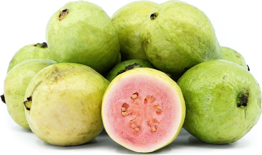 Guava