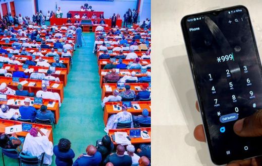 Young people are suffering - Senate orders probe of rising cost of data