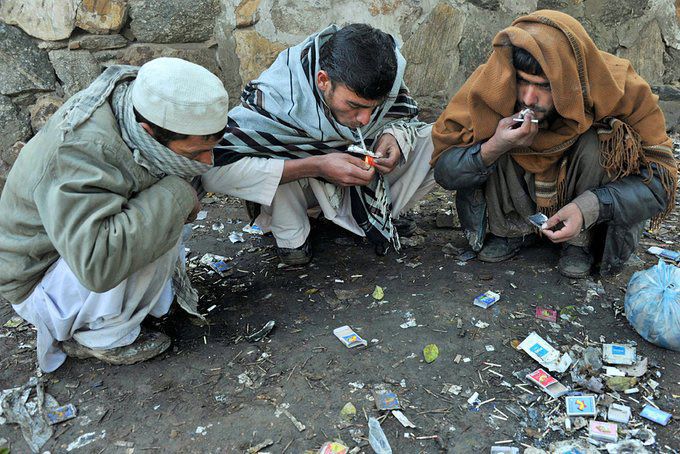 Smoking dead scorpions to get high is a practice in Pakistan. [X/@IndiaTales7]
