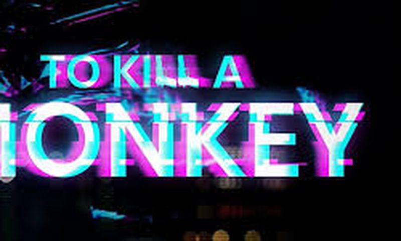 Kemi Adetiba unveils new crime drama ‘To Kill a Monkey’