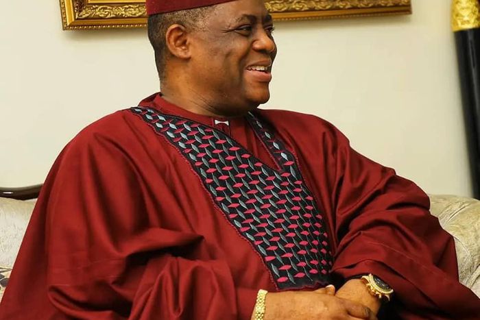 Femi Fani-Kayode [Facebook/Femi Fani-Kayode]