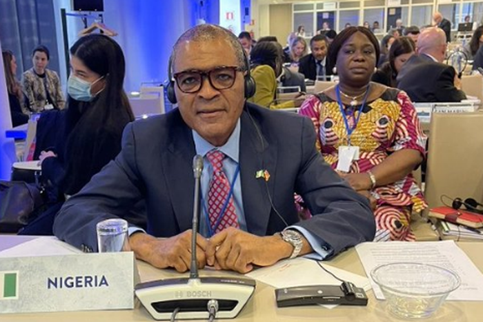 Nigeria's envoy to Spain, Demola Seriki, dies at 63. (Punch)