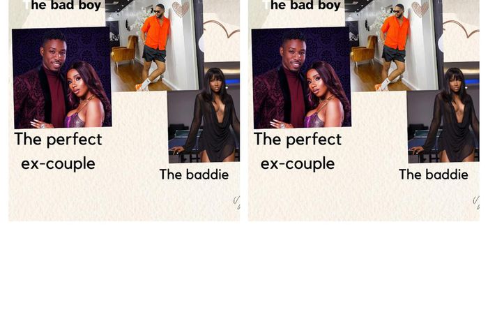 Relationship stereotypes that can be found in the Big Brother Naija All Stars house