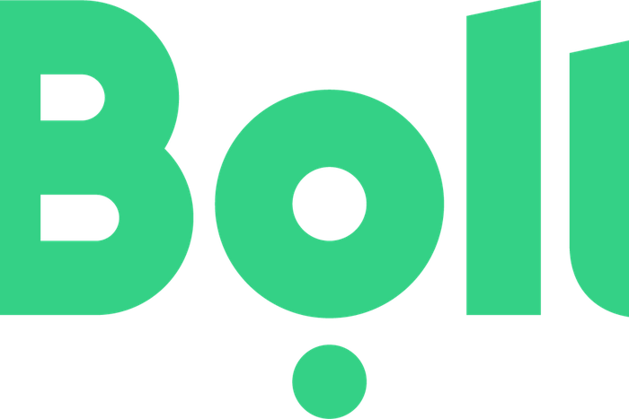 Bolt logo