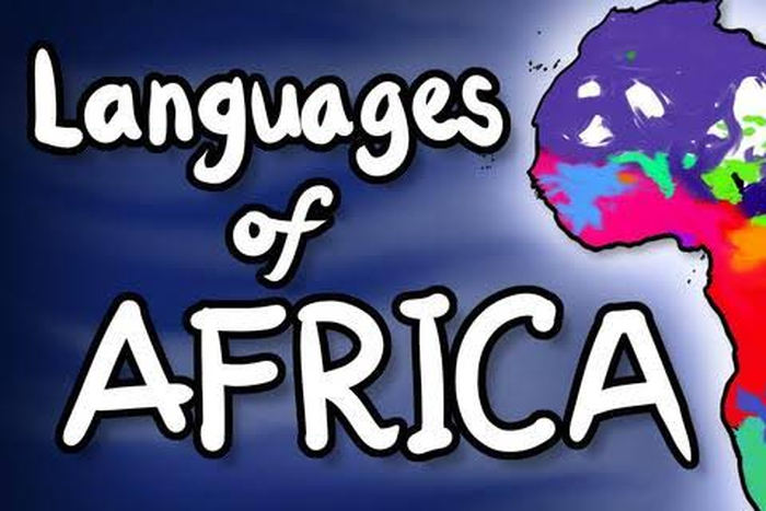 Top 5 African countries with the highest number of languages