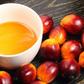 7 priceless health benefits of palm kernel oil
