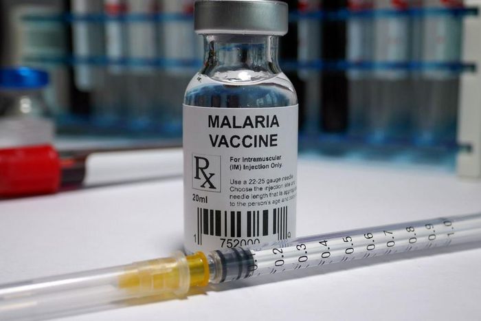 Nigeria is the second country to approve the use of new Malaria vaccine