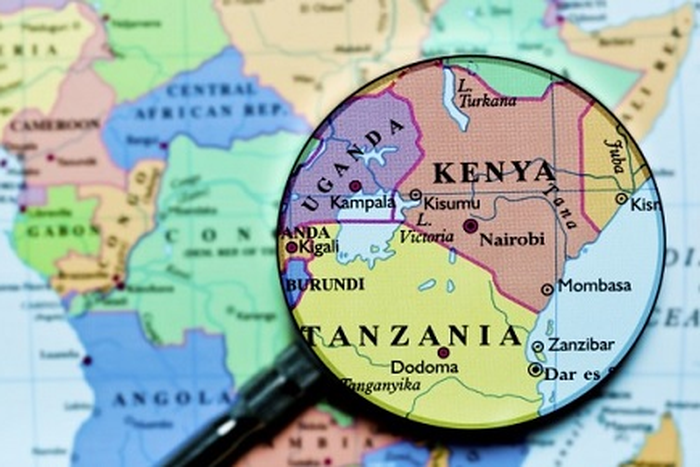 Officials raise alarm as 60% of Tanzania-Kenya wildlife corridors vanish