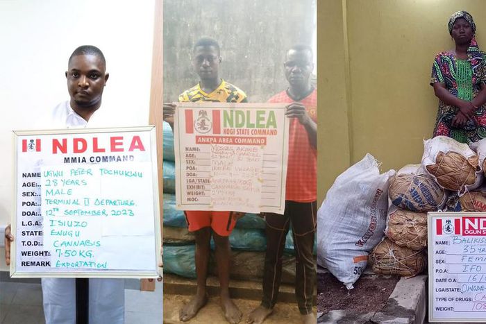 NDLEA intercepts 6,600 bottles of codeine, arrests 8 suspects. [Facebook:NDLEA]
