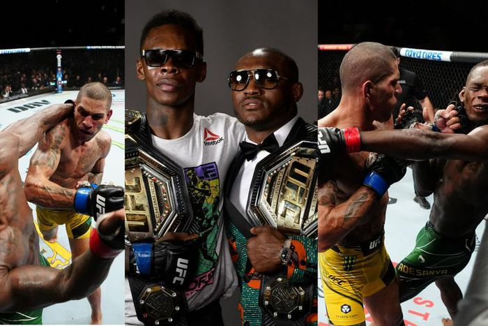 Nigerians in pain as Adesanya knocked out by Pereira