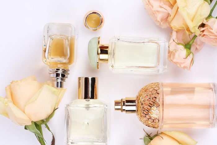 perfumes and scents