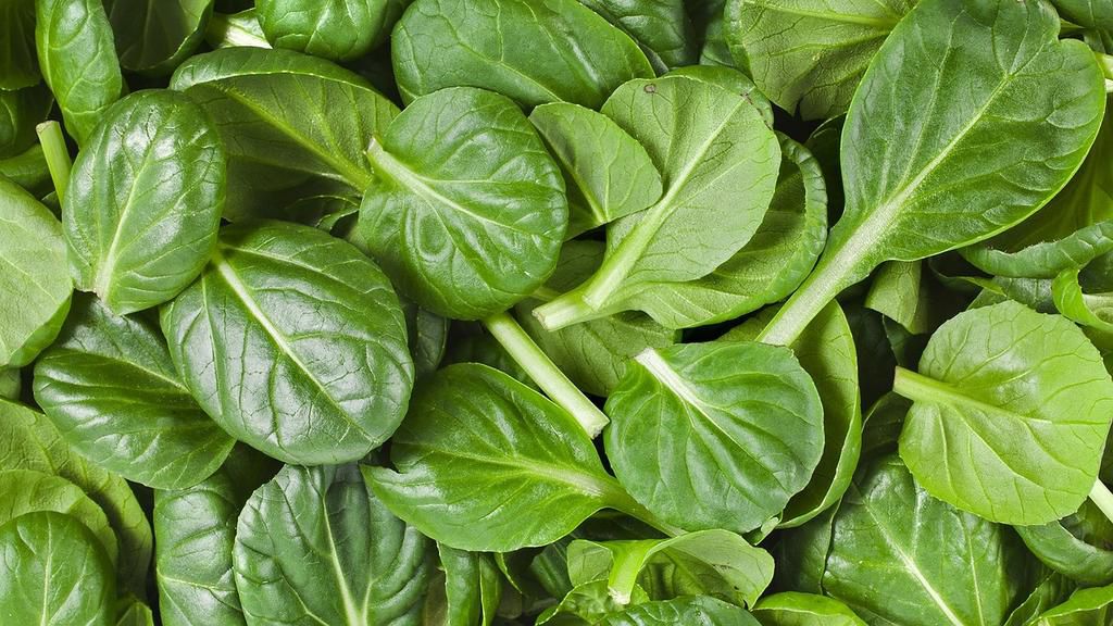 Spinach is called efo shoko in Nigeria [Nigerianfinder]