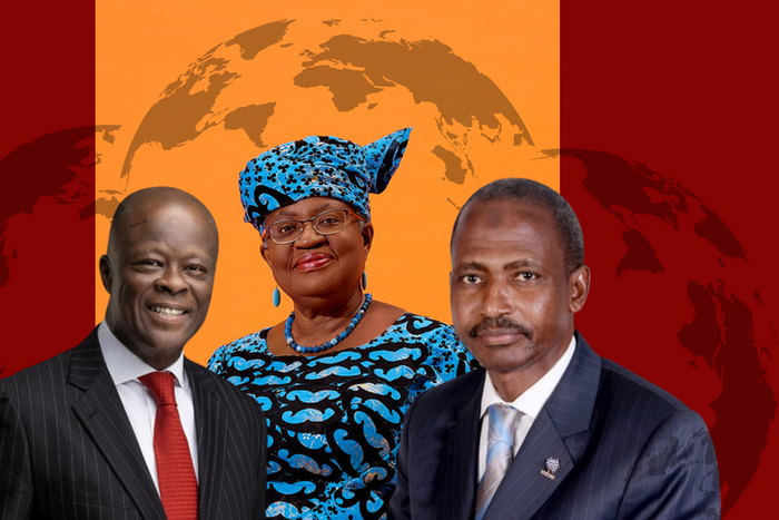 5 remarkable individuals who have brought honor to Nigeria via their respective fields worldwide.