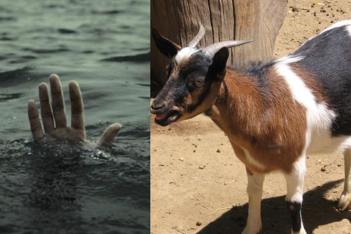 Ghanaian man drowns while rescuing neighbour’s drowning goat from deep well