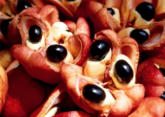 Ackee fruit [Brasserie Cayman]