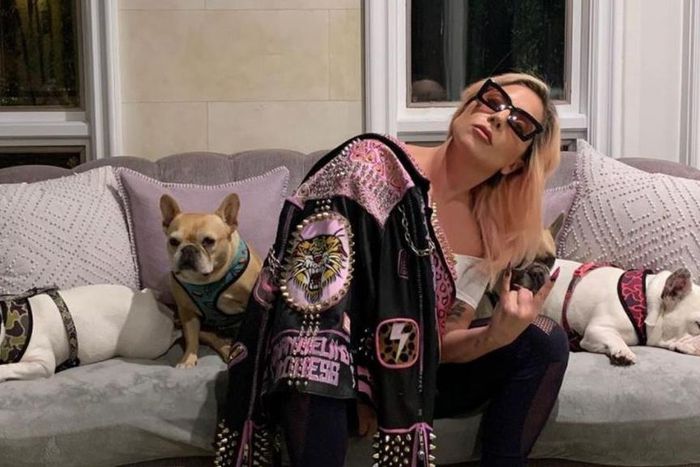 Lady Gaga [Sky  News]