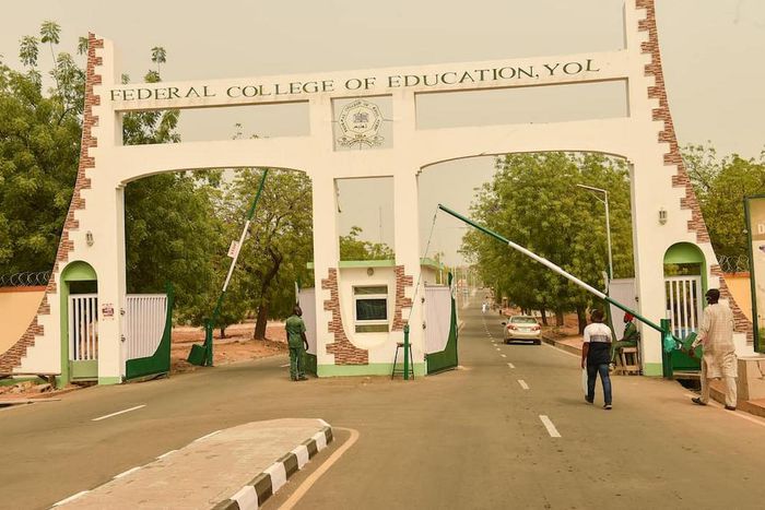 Federal College of Education, Yola (Credit: Federal College of – Education Yola)