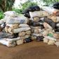 Some of the drugs intercepted by the operatives of the NDLEA. [Facebook:NDLEA]