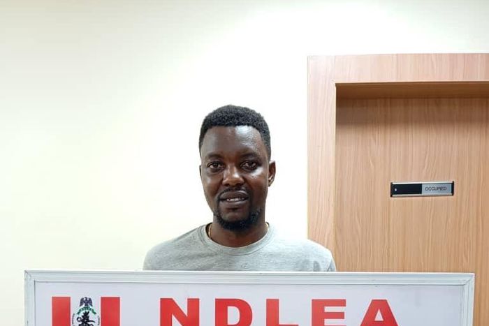 NDLEA seizes Italy-bound hard drugs and Canadian loud in Lagos [Facebook:NDLEA]