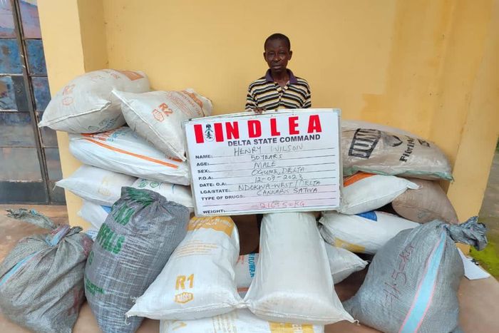 Intercepted drugs by the NDLEA operatives.