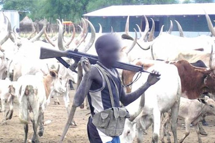 Armed herdsmen (RipplesNigeria)