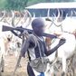 Armed herdsmen (RipplesNigeria)