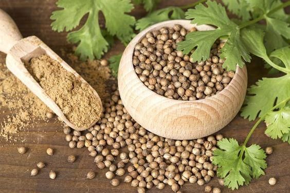Coriander may be used in form of seeds or leaves [Vegetarian Times]