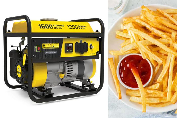 Restaurant owner jailed 2 years for selling chips fried with oil from transformer