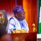 President Bola Tinubu and his Special Adviser on Revenue, Zacchaeus Adedeji.