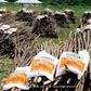 Akwa Ibom govt. distributes farm inputs to secondary schools (Clintondaily)
