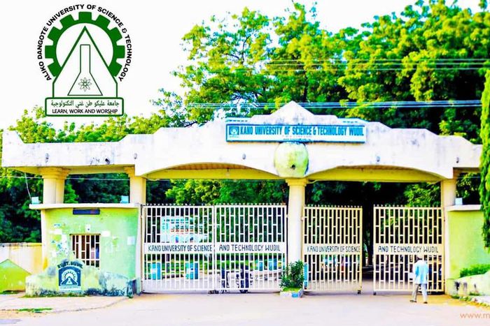 Kano govt advises Dangote University students to shun drug abuse.