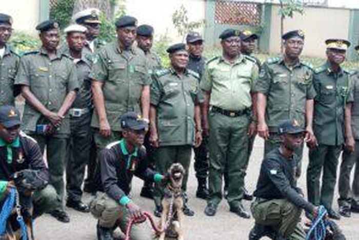 National Park recruits security dogs to protect biodiversity [NAN]